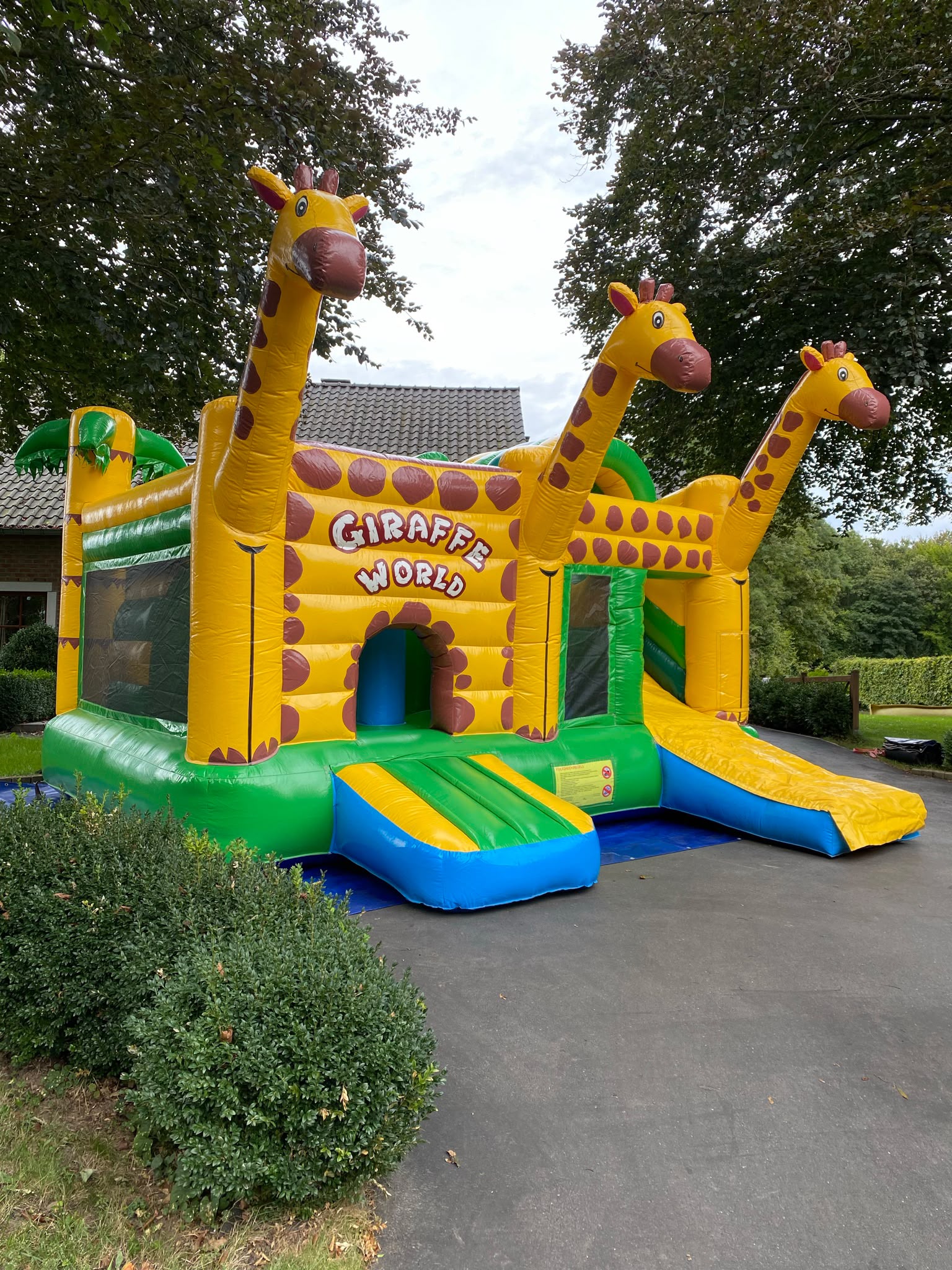Multiplay Girafe